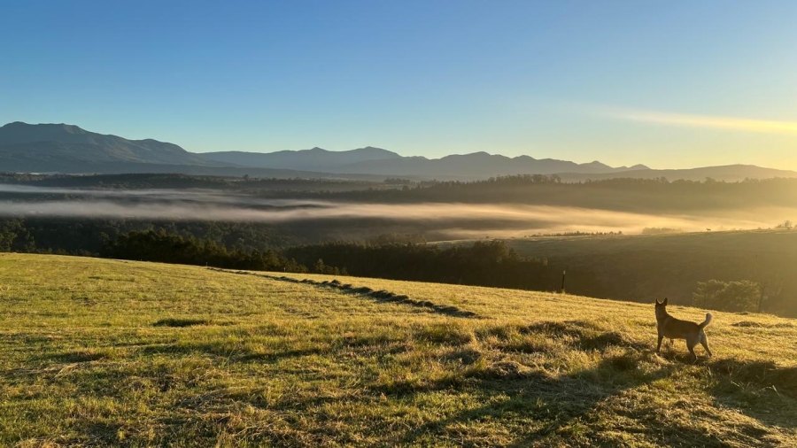 Commercial Property for Sale in Sedgefield Rural Western Cape